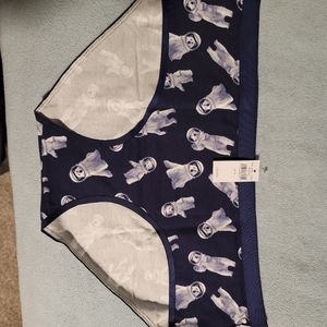 NWT American Eagle Aerie Brief Underwear XL